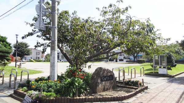 市川市北国分2丁目の公園画像