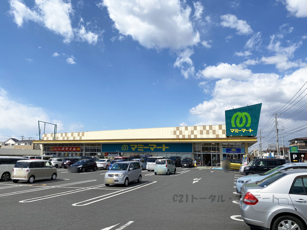 松戸市高塚新田の土地のスーパー画像