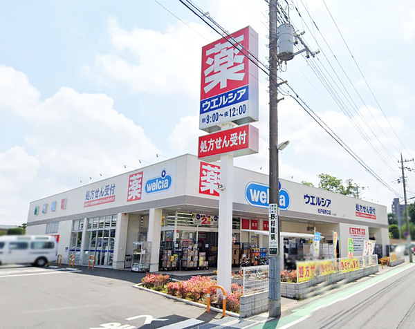 【建築条件なし】古ケ崎　売地全１区画のドラッグストア画像
