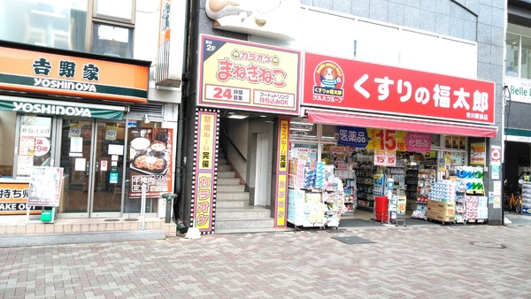 市川ガーデニアのドラッグストア画像