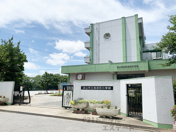 ホームタウン初石12号棟の小学校画像