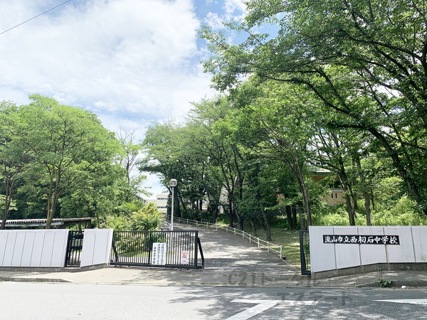 ホームタウン初石12号棟の中学校画像