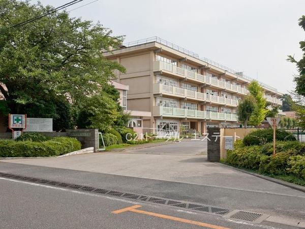 柏市南逆井２丁目の土地の小学校画像
