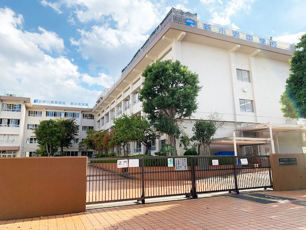 葛飾区西新小岩3丁目の土地の中学校画像