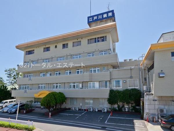 市川江戸川堤マンションの病院画像