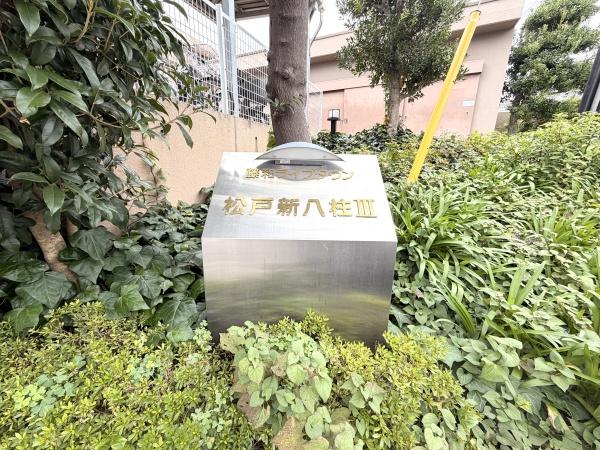 藤和ライブタウン松戸新八柱3のエントランス画像