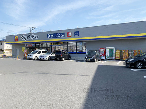 ダイアパレス新柏のドラッグストア画像