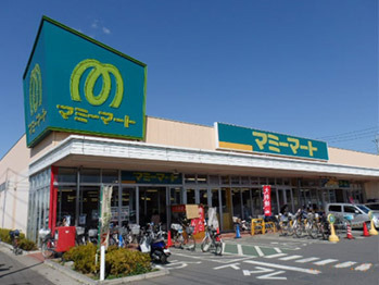 藤和シティホームズ柏のスーパー画像