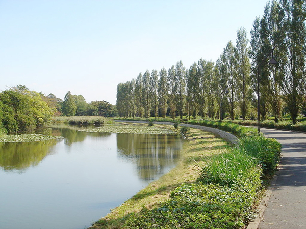 葛飾区東水元5丁目　全6区画の公園画像