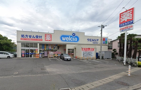 柏市中原1丁目の土地のドラッグストア画像
