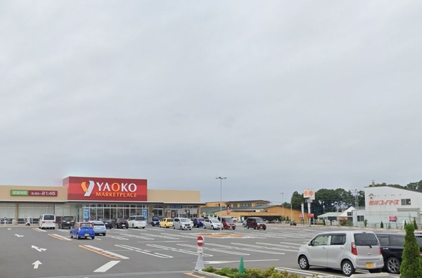 柏市中原1丁目の土地のスーパー画像