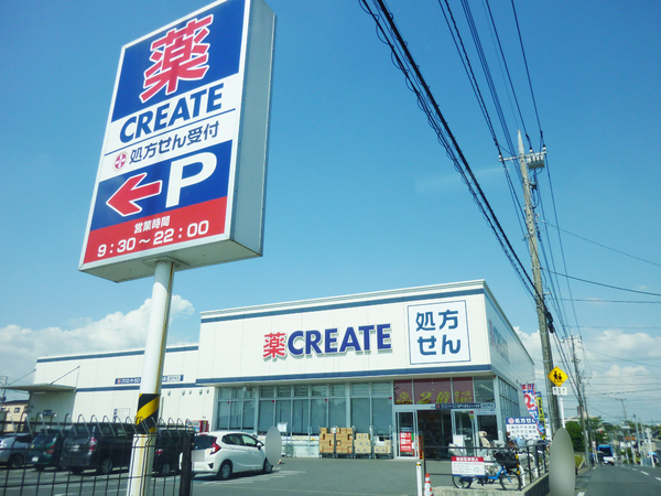 松戸市幸谷の土地のドラッグストア画像