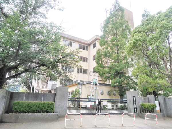松戸市河原塚の土地の小学校画像