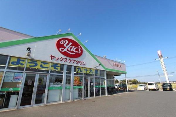 大網白里市南横川のドラッグストア画像