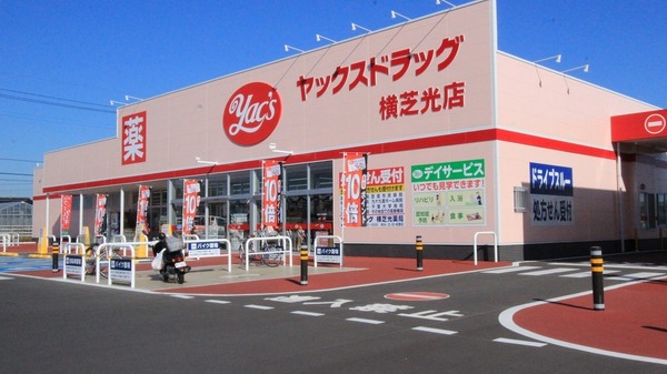 山武市松尾町八田のドラッグストア画像