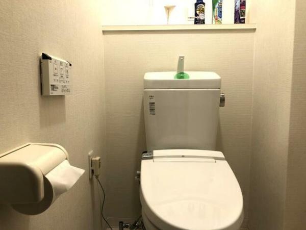 ライオンズガーデン千葉八街のトイレ画像