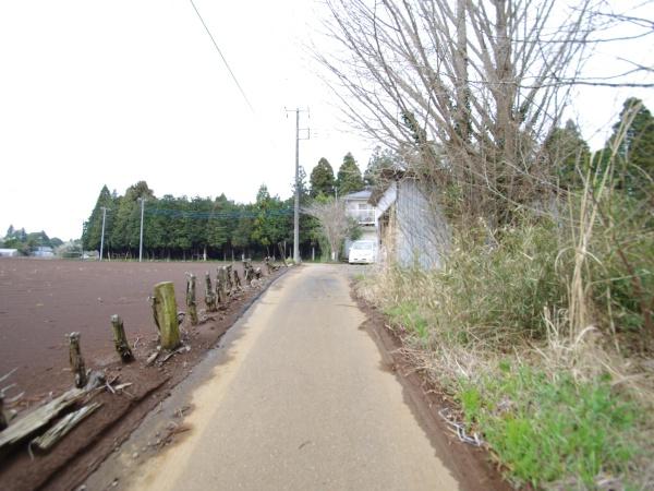 山武市　大木の前面道路含む現地写真画像