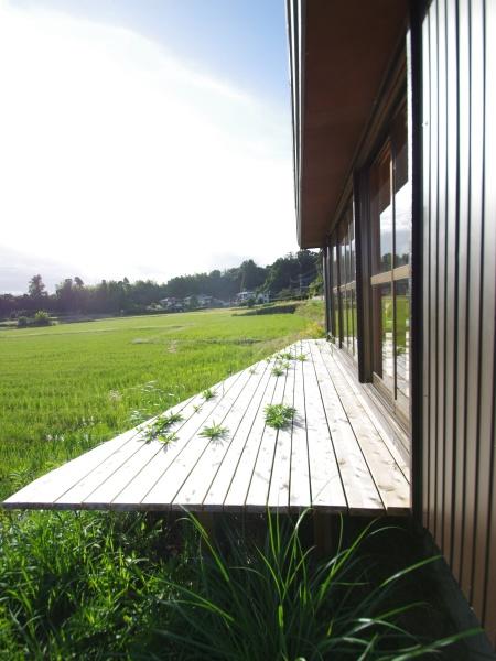 大網白里市　大竹の現地からの眺望画像