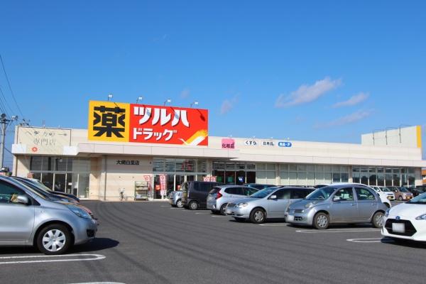 大網白里市　仏島のドラッグストア画像