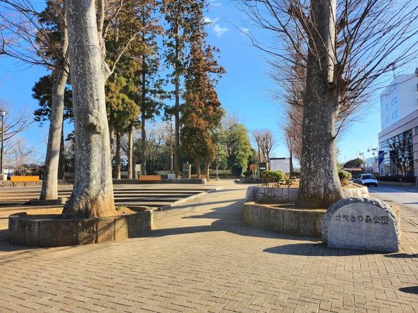 八街市　大木　（やちまたし　おおぎ）の公園画像