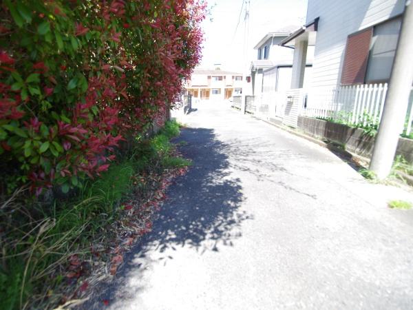 大網白里市　永田（おおあみしらさとし　ながた）の前面道路含む現地写真画像