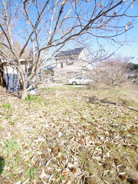 東金市 油井(とうがねし ゆい)のその他画像