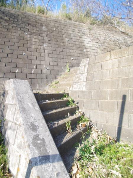東金市 油井(とうがねし ゆい)のその他画像