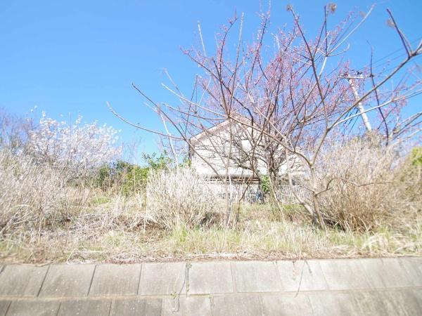 東金市 油井(とうがねし ゆい)のその他画像
