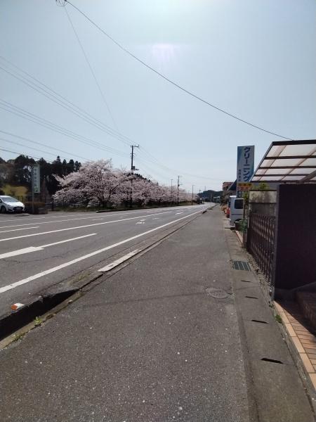 山武市　日向台（さんむし　ひゅうがだい）の前面道路含む現地写真画像