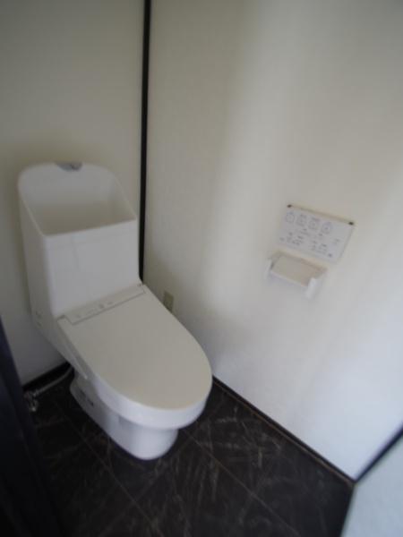 山武市　井之内（さんむし　いのうち）のトイレ画像