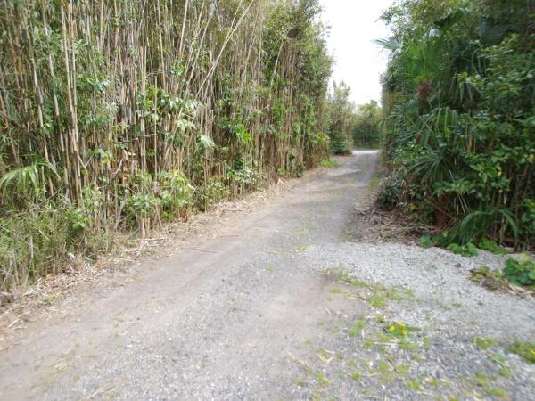 山武市　井之内（さんむし　いのうち）の前面道路含む現地写真画像