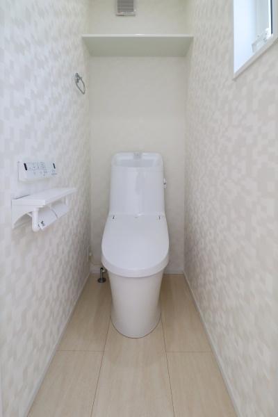 山武市　和田（モデルハウス）のトイレ画像