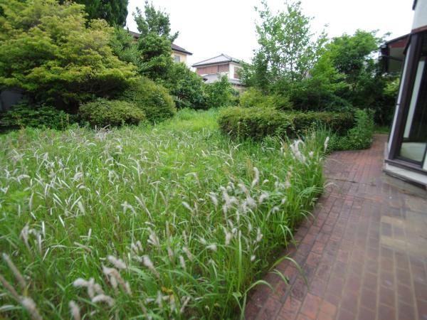 大網白里市 北飯塚の庭画像