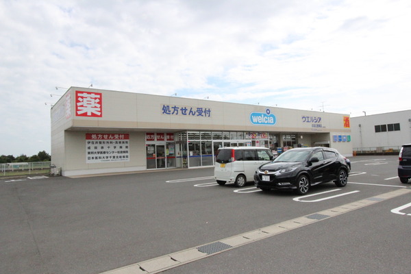 富里市　根木名のドラッグストア画像