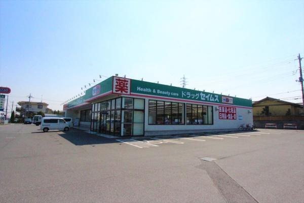 大網白里市　永田のドラッグストア画像