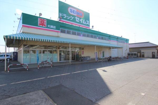 大網白里市　富田のドラッグストア画像