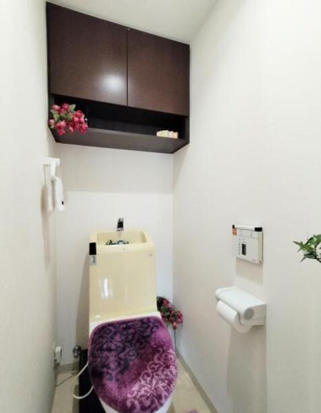 パインズマンション成田のトイレ画像