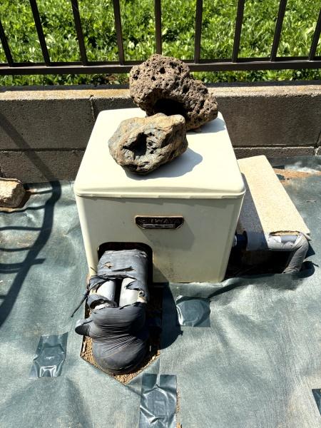 八街市　沖渡（やちまたし　おきわたし）の庭画像