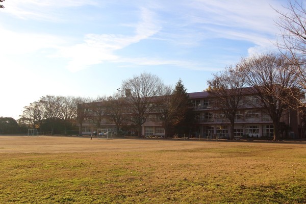 グラファーレ　富里市　七栄　８期　全１棟　１号棟の小学校画像