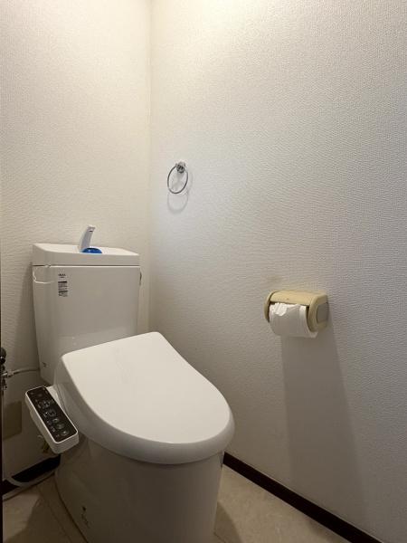 山武郡芝山町新井田（さんぶぐんしばやままちにいだ）のトイレ画像