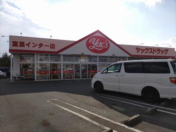 ザ・ドリームフィールド成田75（富里市七栄）１号棟のドラッグストア画像