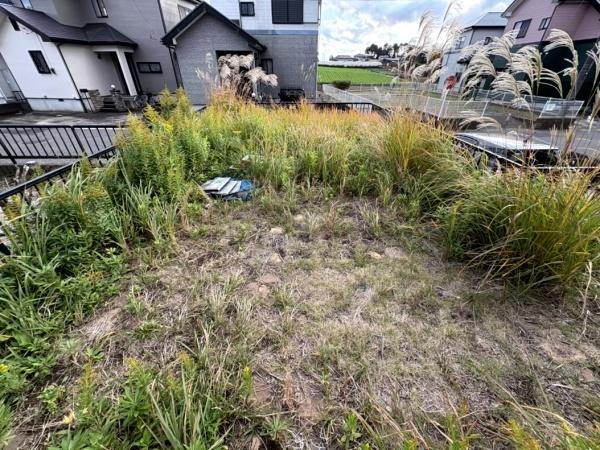 八街市 東吉田(やちまたし ひがしよしだ)の庭画像