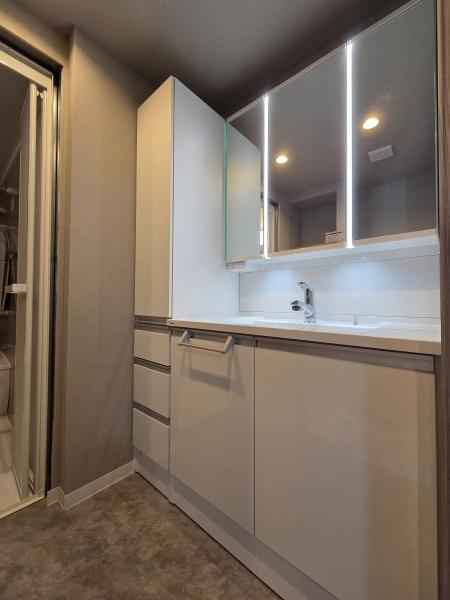 佐倉ステーションゲートノースウイングの洗面台・洗面所画像