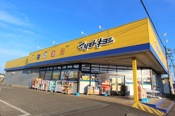 富里市　中沢のドラッグストア画像