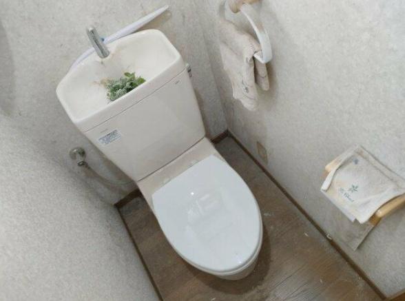 東金市　台方（とうがねし　だいかた）のトイレ画像