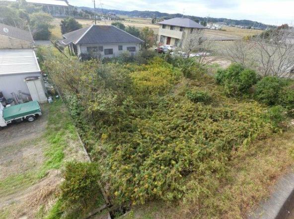 東金市　台方（とうがねし　だいかた）の庭画像