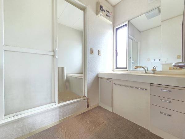 山武郡芝山町 新井田(にいだ)の洗面台・洗面所画像