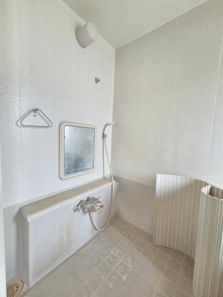 山武郡芝山町 新井田(にいだ)のバス画像