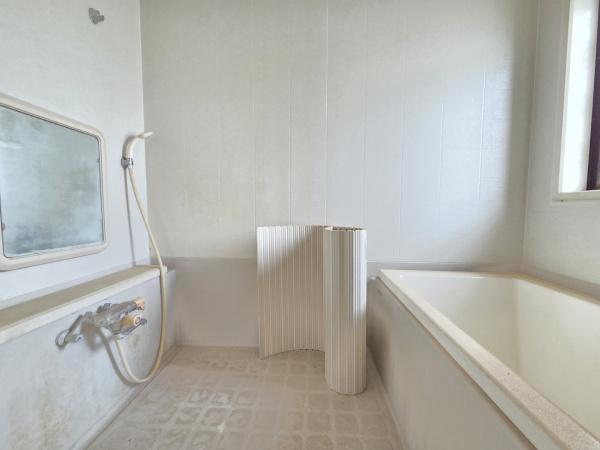 山武郡芝山町 新井田(にいだ)のバス画像