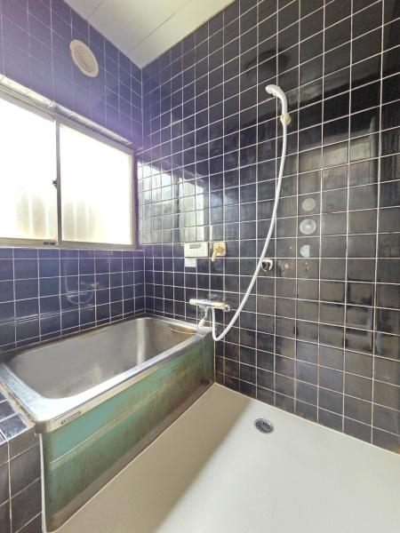 山武市 大木(さんむし おおぎ)のバス画像